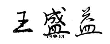 曾慶福王盛益行書個性簽名怎么寫