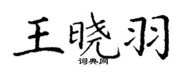 丁謙王曉羽楷書個性簽名怎么寫