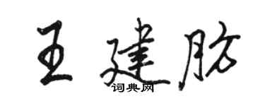 駱恆光王建肪行書個性簽名怎么寫