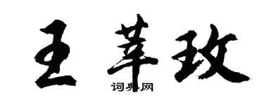 胡問遂王莘玫行書個性簽名怎么寫