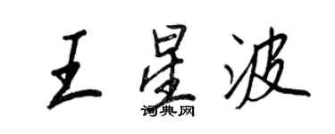 王正良王星波行書個性簽名怎么寫