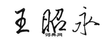 駱恆光王昭永行書個性簽名怎么寫