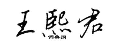 王正良王熙君行書個性簽名怎么寫