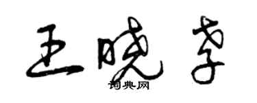 曾慶福王曉孝草書個性簽名怎么寫