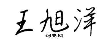 王正良王旭洋行書個性簽名怎么寫
