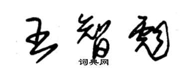 朱錫榮王智彪草書個性簽名怎么寫