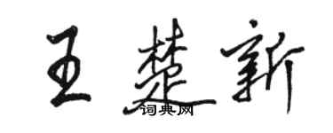 駱恆光王楚新行書個性簽名怎么寫