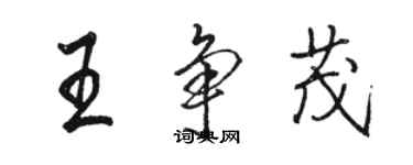 駱恆光王爭茂行書個性簽名怎么寫