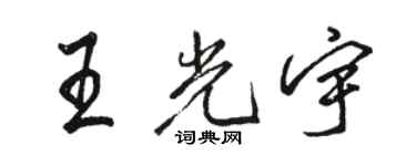 駱恆光王光宇行書個性簽名怎么寫