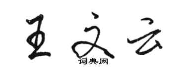 駱恆光王文雲行書個性簽名怎么寫