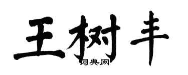 翁闓運王樹豐楷書個性簽名怎么寫
