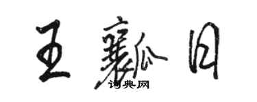 駱恆光王瓤日行書個性簽名怎么寫