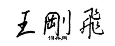 王正良王剛飛行書個性簽名怎么寫