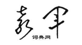 駱恆光袁軍草書個性簽名怎么寫