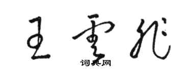 駱恆光王雲非草書個性簽名怎么寫