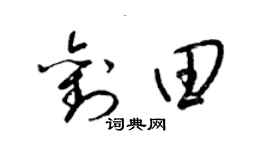 梁錦英劉田草書個性簽名怎么寫