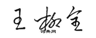 駱恆光王柳全草書個性簽名怎么寫