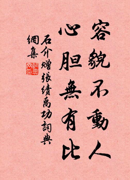 雁塔同題久，相看兩鬢皤 詩詞名句