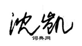 朱錫榮沈凱草書個性簽名怎么寫