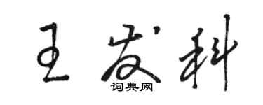 駱恆光王發科草書個性簽名怎么寫