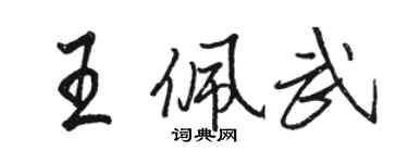 駱恆光王佩武行書個性簽名怎么寫