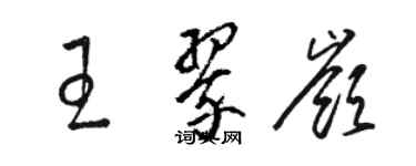 駱恆光王翠嶺草書個性簽名怎么寫