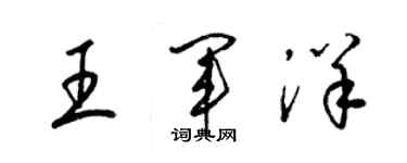 梁錦英王軍洋草書個性簽名怎么寫