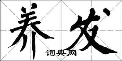 翁闓運養發楷書怎么寫