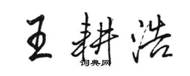 駱恆光王耕浩行書個性簽名怎么寫