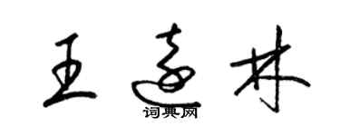 梁錦英王遠林草書個性簽名怎么寫