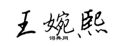 王正良王婉熙行書個性簽名怎么寫