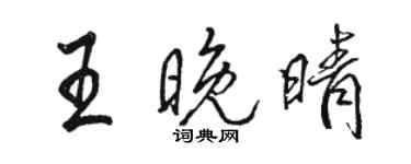 駱恆光王晚晴行書個性簽名怎么寫