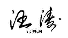 朱錫榮汪濤草書個性簽名怎么寫