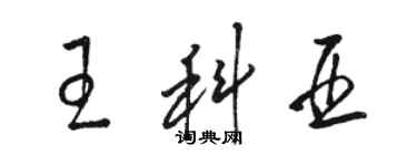 駱恆光王科亞草書個性簽名怎么寫