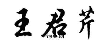 胡問遂王君芹行書個性簽名怎么寫