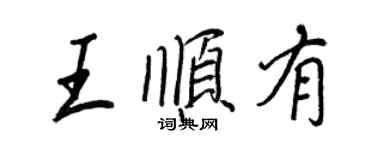王正良王順有行書個性簽名怎么寫