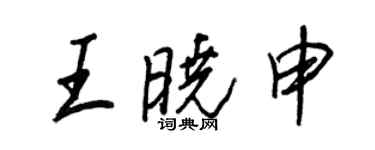 王正良王曉申行書個性簽名怎么寫