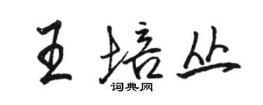 駱恆光王培叢行書個性簽名怎么寫