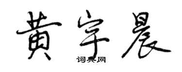 曾慶福黃宇晨行書個性簽名怎么寫