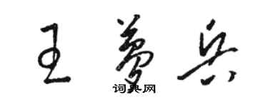 駱恆光王夢兵草書個性簽名怎么寫