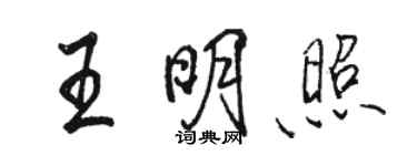 駱恆光王明照行書個性簽名怎么寫