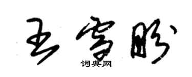 朱錫榮王雪盼草書個性簽名怎么寫