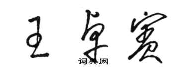 駱恆光王卓賓草書個性簽名怎么寫