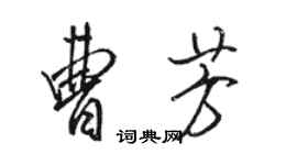 駱恆光曹芳行書個性簽名怎么寫