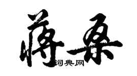 胡問遂蔣桑行書個性簽名怎么寫