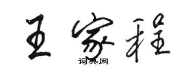 駱恆光王家程行書個性簽名怎么寫