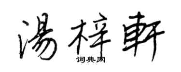 王正良湯梓軒行書個性簽名怎么寫