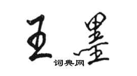 駱恆光王墨行書個性簽名怎么寫