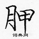 龐中華寫的硬筆楷書胛