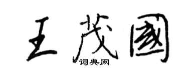 王正良王茂國行書個性簽名怎么寫